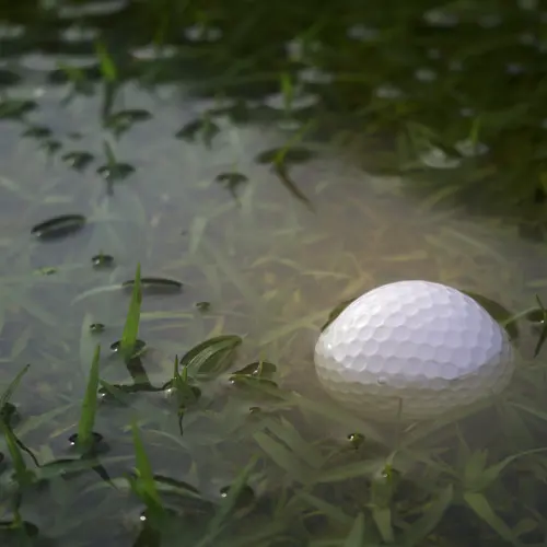Rain on the golf course